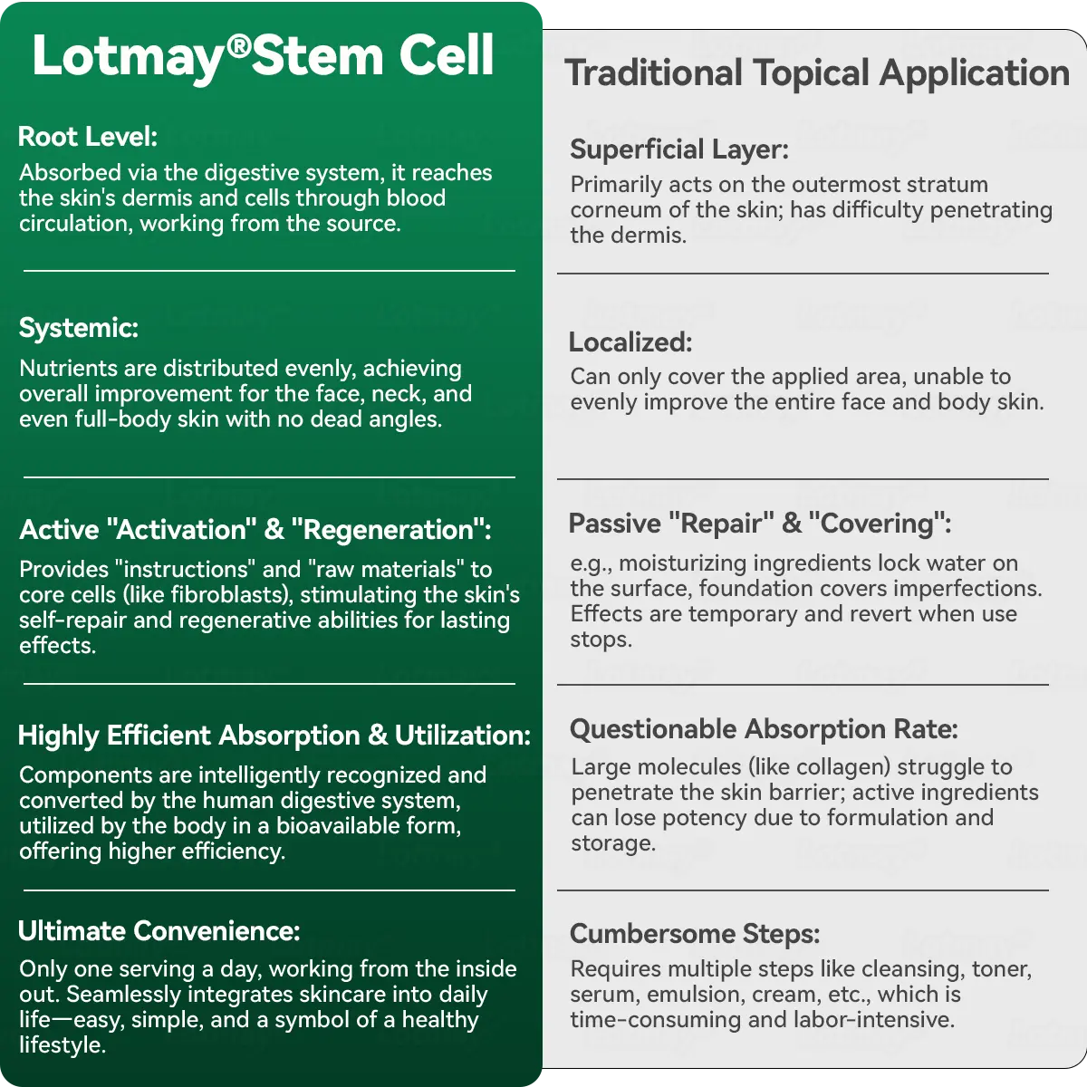 ๐๐ก๐๐ ๐ถ๐๐๐ & ๐ถ๐๐๐๐๐๐๐ ๐๐๐๐ก๐๐๐ ๐๐๐๐ ๐ท๐๐๐๐ - Image 9