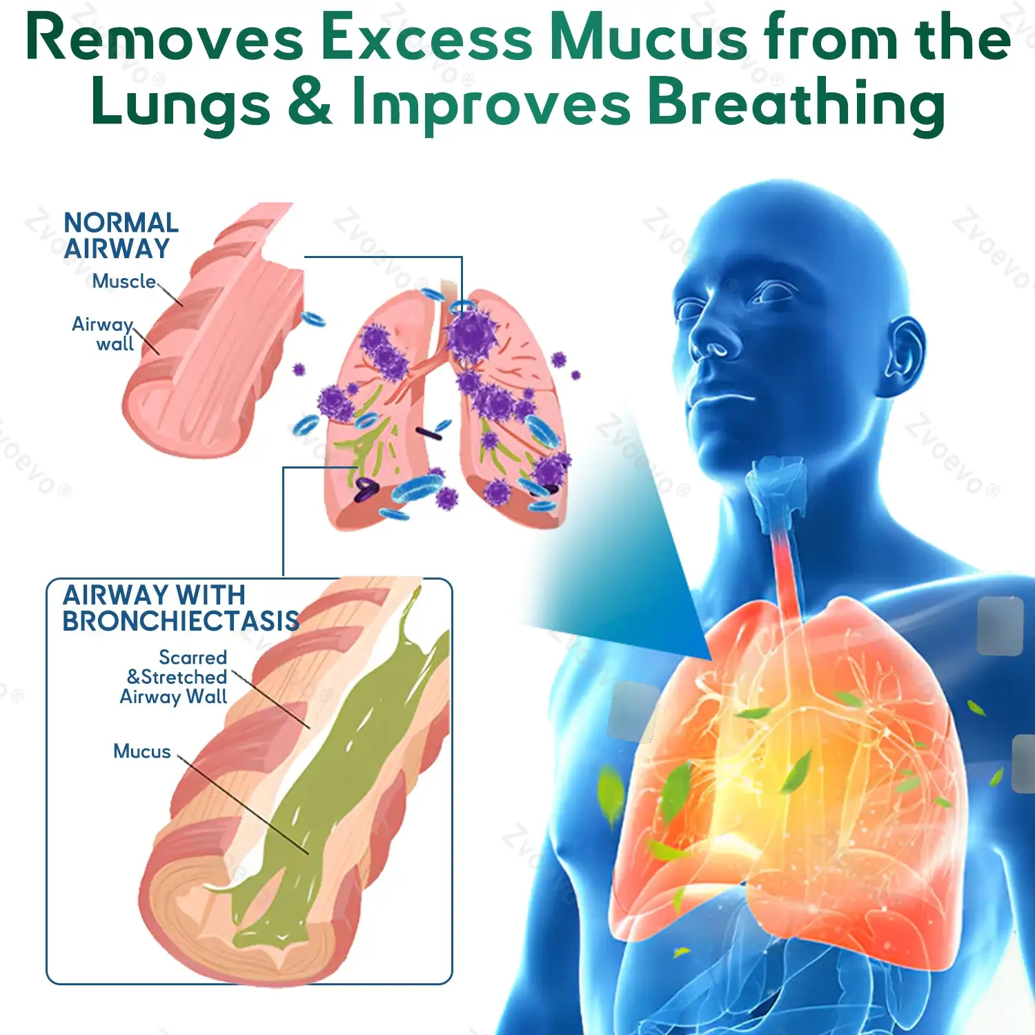 ๐๐จ๐ฎ๐๐ฅ๐๐๐๐ง๐จ ๐๐๐ฏ๐๐ง๐๐๐ ๐๐ฎ๐ง๐ ๐๐๐ญ๐จ๐ฑ ๐๐๐ฅ๐ข๐๐ ๐๐๐ญ๐๐ก - Image 7