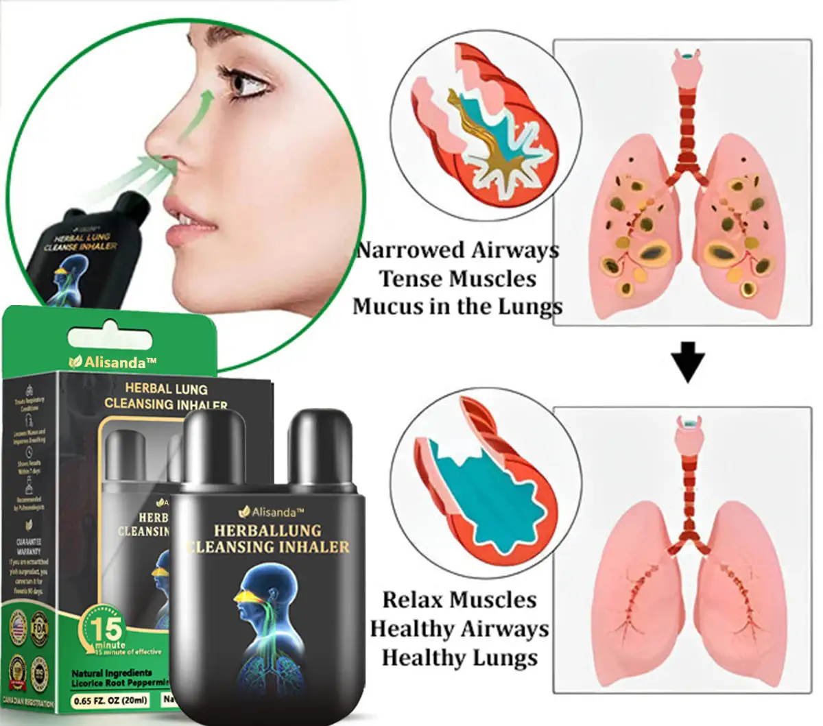Herbal Lung Cleansing Inhaler - Image 4