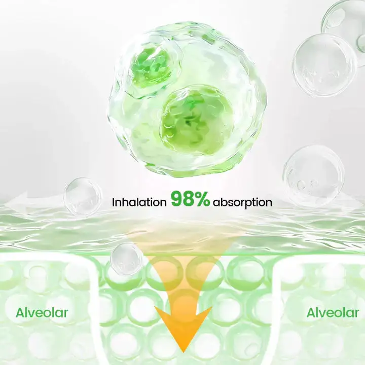 Lung health Detox Inhaler - Image 5