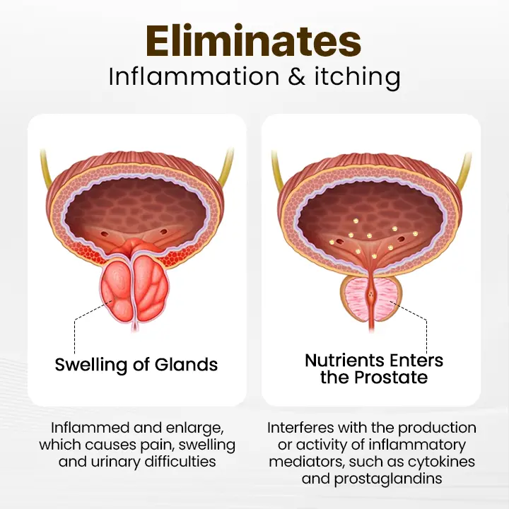 ProstaVibe Bee Wellness Inhaler - Image 3
