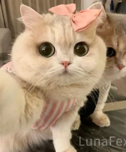 Official Store】LUNA the Robot Cat 😺& TOBY the Robot Dog🐶 – Perfect Pet Duo for Kids & Family – Last Day for Sale!