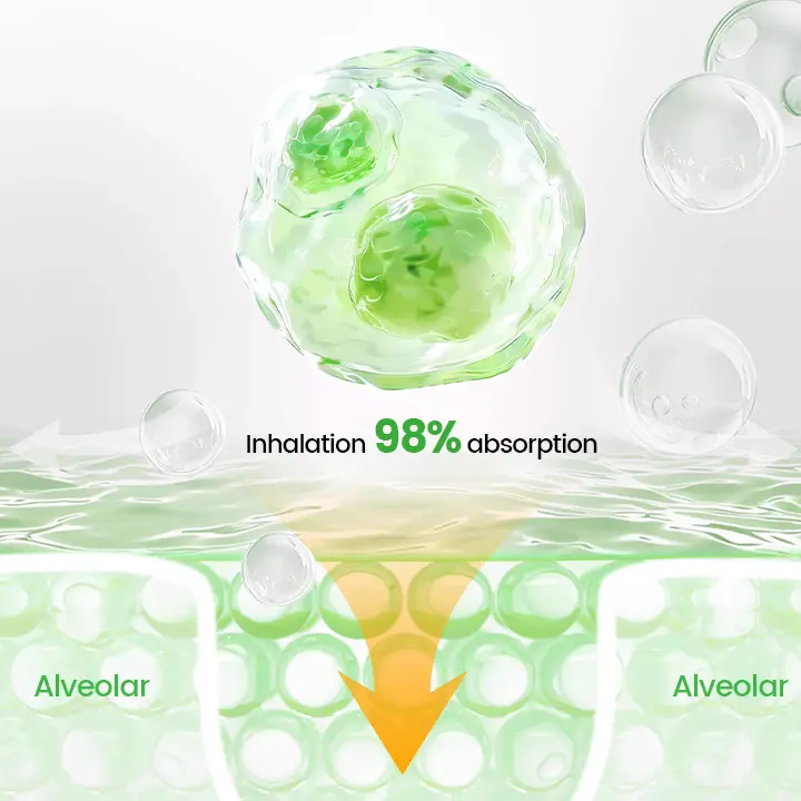 Pulmovia Quercetin Lung Detox Inhaler - Image 5