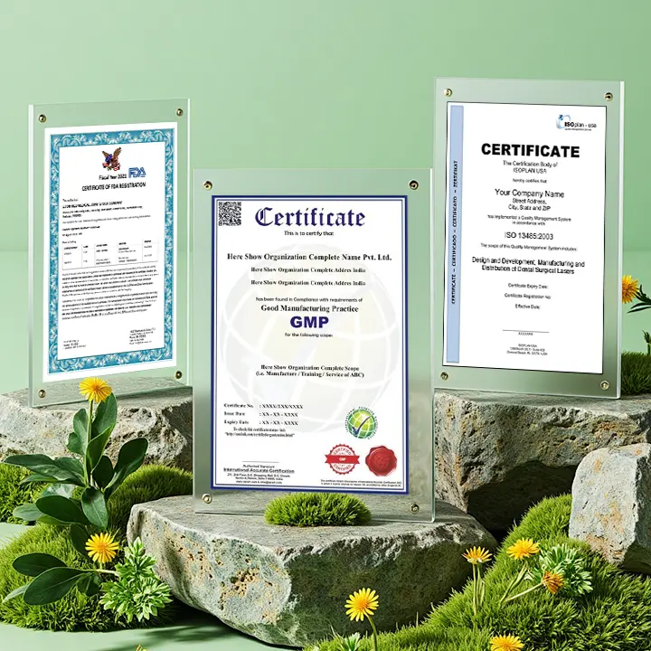 Pulmovia Quercetin Lung Detox Inhaler - Image 9