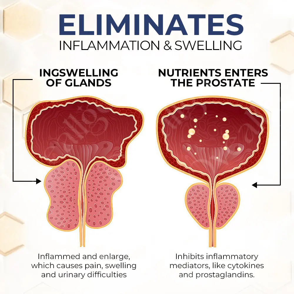 BeeTherapie Treatment Oil For Prostate Wellness - Image 7