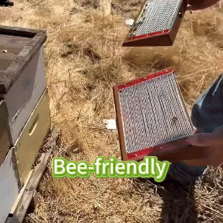 BeeDerm RX Cream - Image 11