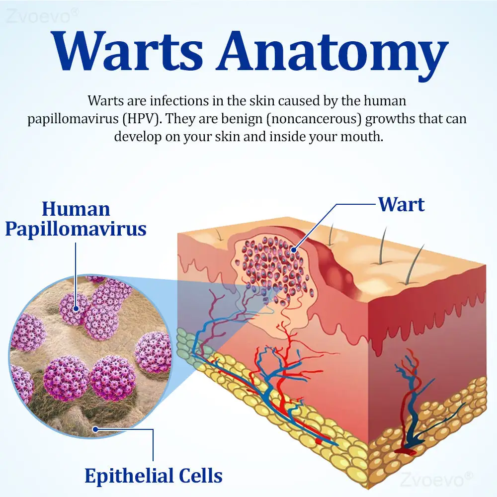 BeeDerm RX Cream - Image 16