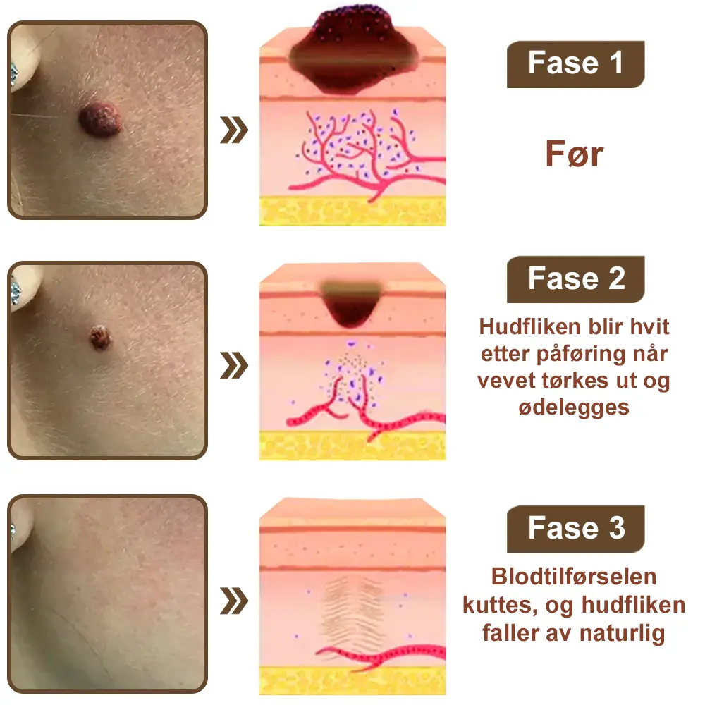 Svart ris hudreparerende essenskrem - Image 10